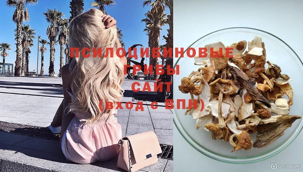 дурь Балахна