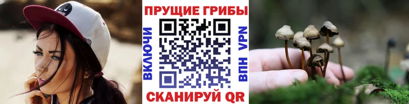 Галлюциногенные грибы мухоморы блэк спрут зеркало Белово